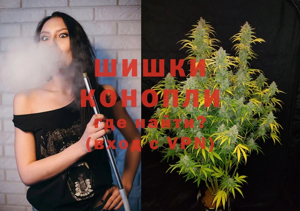 ешки Бронницы