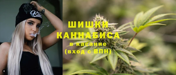 бошки Бородино