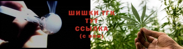 бошки Бородино