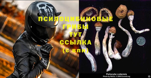 бошки Бородино