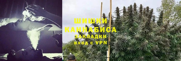 ешки Бронницы