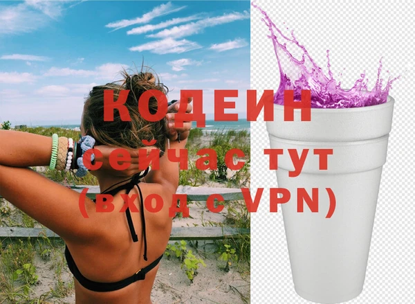 бошки Бородино