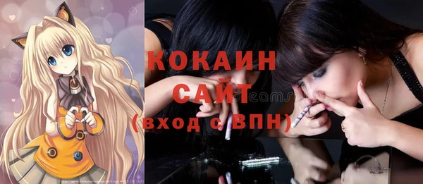 ешки Бронницы