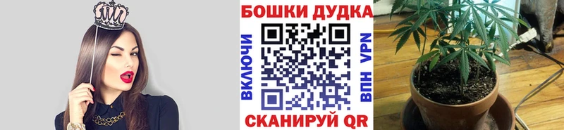 Шишки марихуана ГИДРОПОН  Купить  Наволоки 